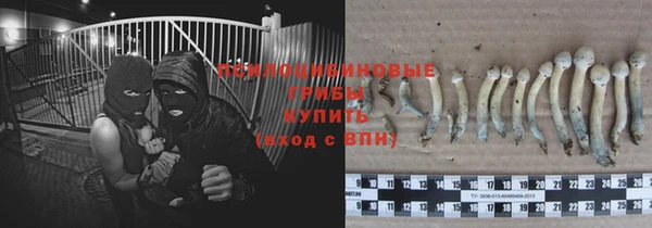 винт Белокуриха