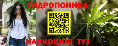 трава Аргун