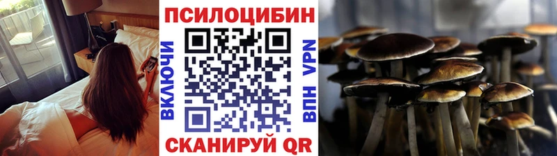 Псилоцибиновые грибы Psilocybine cubensis  Валуйки 