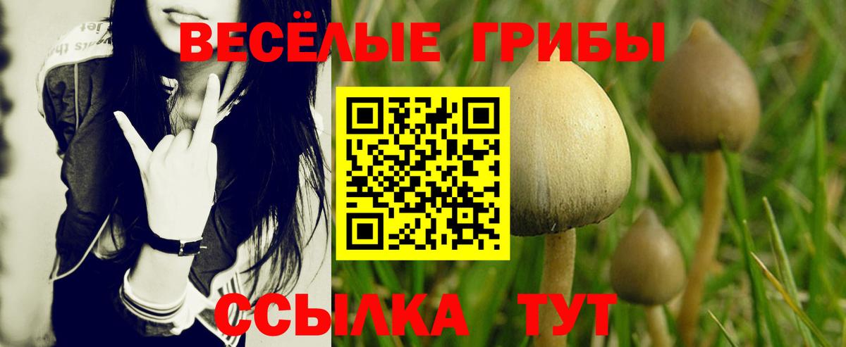 Псилоцибиновые грибы Magic Shrooms Валуйки